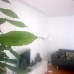 肖诺霍里兹特酒店