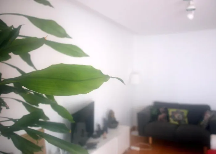 Sol No Horizonte - At